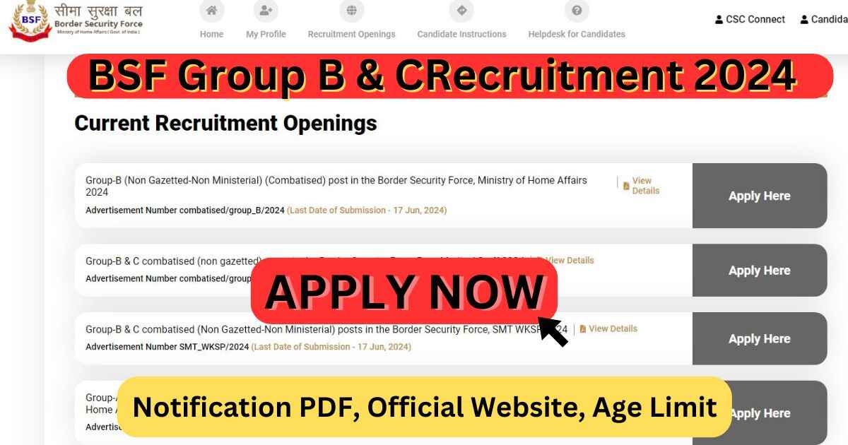 BSF Group B and C Recruitment 2024